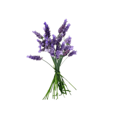 Patchouli