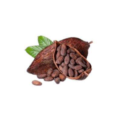 Cacao