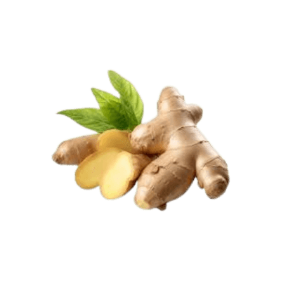 Ginger