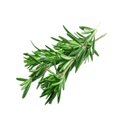 Rosemary