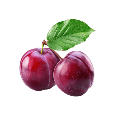 Plum