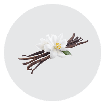 Vanilla